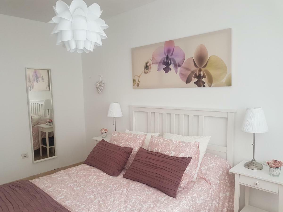 La Quinta Verde 산타크루즈데라팔마 외부 사진